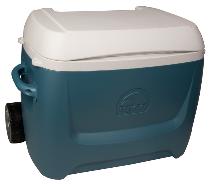 Igloo store maxcold 58l